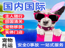 万州五桥机场空运国际宠物托运 【国